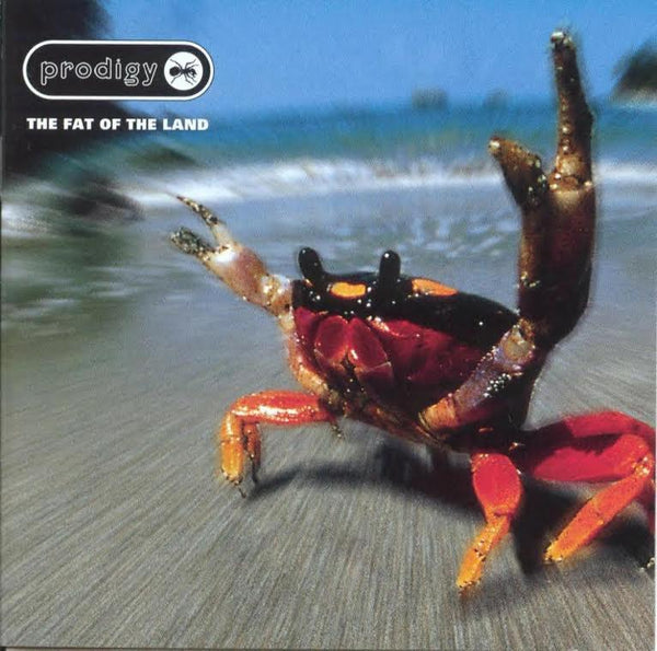 When You Were Young: The Prodigy