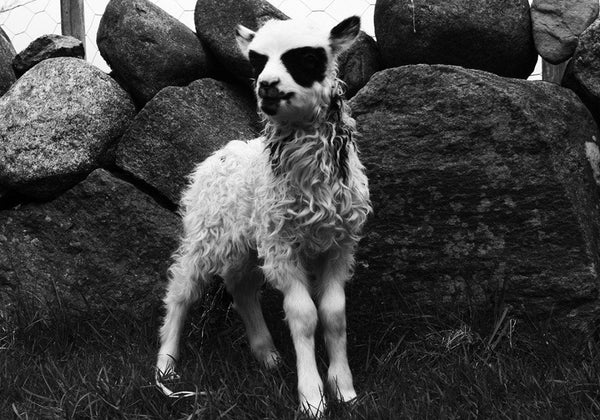 The 10 Best Black Metal Albums To Own On Vinyl