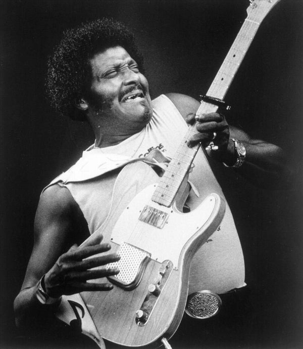 10 More Essential Blues Albums To Own On Vinyl