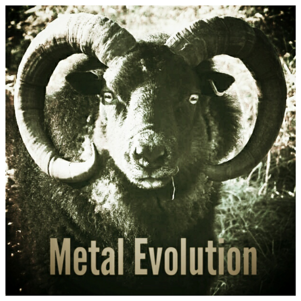 The Incomplete and Debatable Evolution of Metal Music in 13 Songs