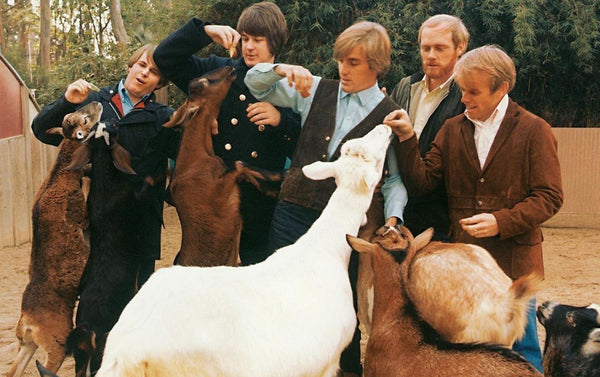 The 10 Best Beach Boys Albums To Own On Vinyl