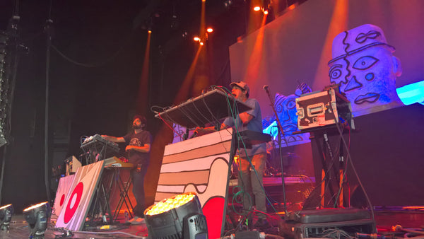Celebrating The Peak Of '00s Indie At The Animal Collective And Fleet Foxes Show